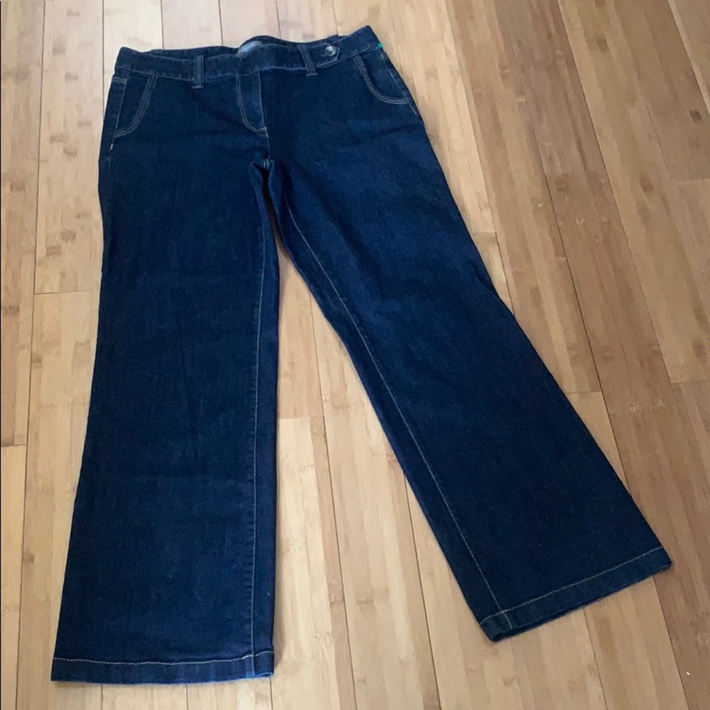 Ann Taylor Signature Fit Dark Jeans
